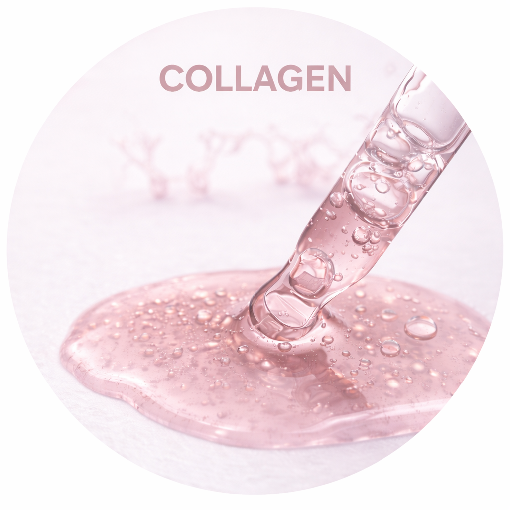 Collagène
